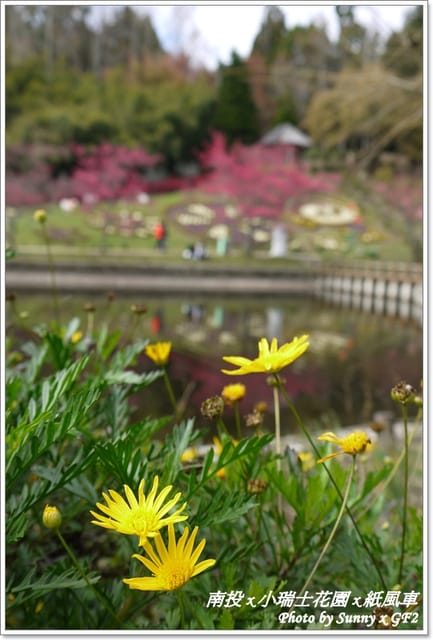 ▌南投．小瑞士花園❤紙箱王．上 ▌