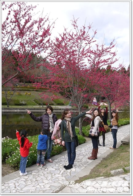 ▌南投．小瑞士花園❤紙箱王．上 ▌