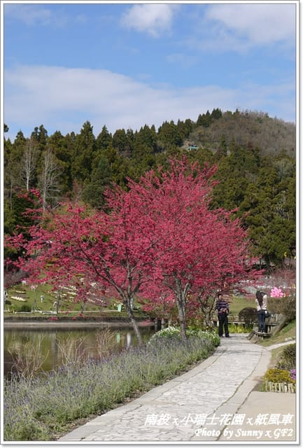 ▌南投．小瑞士花園❤紙箱王．上 ▌