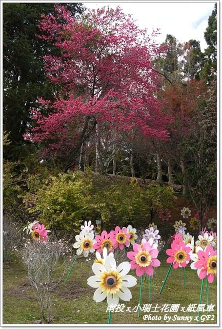 ▌南投．小瑞士花園❤紙箱王．下 ▌