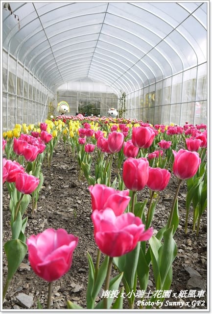 ▌南投．小瑞士花園❤紙箱王．下 ▌