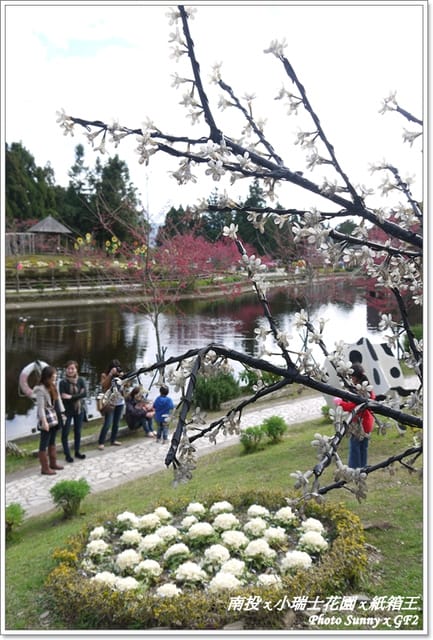 ▌南投．小瑞士花園❤紙箱王．下 ▌