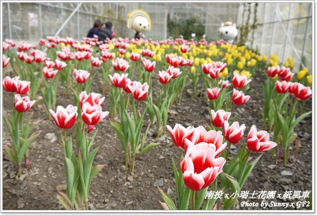 ▌南投．小瑞士花園❤紙箱王．下 ▌