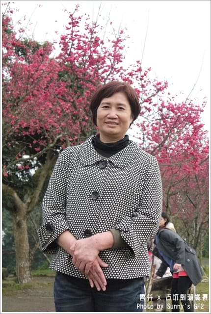 ▌季節限定．雲林．古坑劍湖賞櫻記 ▌