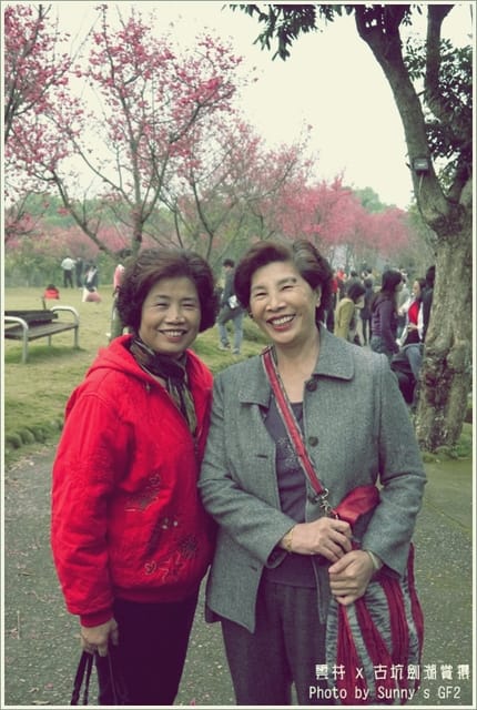 ▌季節限定．雲林．古坑劍湖賞櫻記 ▌