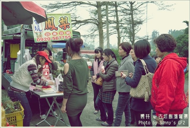 ▌季節限定．雲林．古坑劍湖賞櫻記 ▌