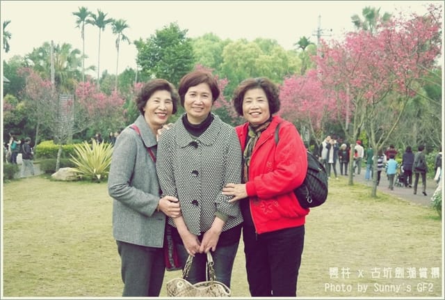 ▌季節限定．雲林．古坑劍湖賞櫻記 ▌