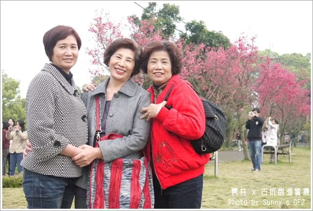 ▌季節限定．雲林．古坑劍湖賞櫻記 ▌