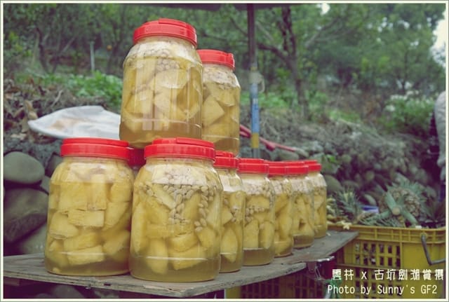 ▌季節限定．雲林．古坑劍湖賞櫻記 ▌