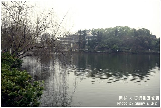 ▌季節限定．雲林．古坑劍湖賞櫻記 ▌