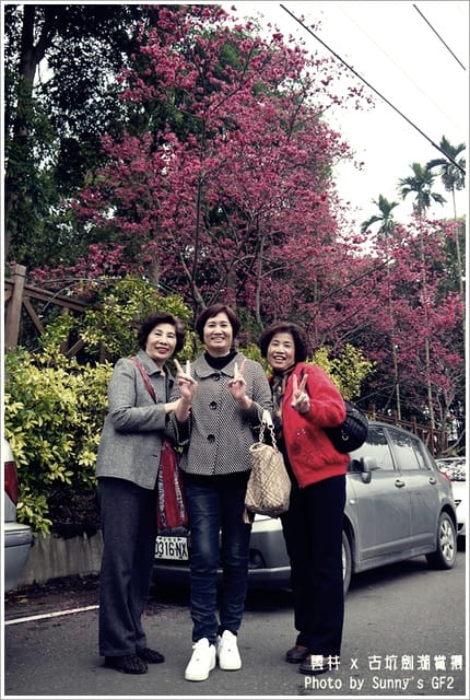 ▌季節限定．雲林．古坑劍湖賞櫻記 ▌