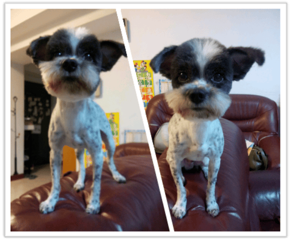 ▌101 ♥ 3月 生活札記．既然踏出了第一步,那就勇往直前吧! ▌