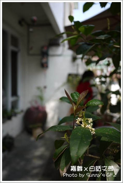 ▌柚子人妻偽單身日誌．同場加映”百吃不厭之白話文學義大利麵”  ▌