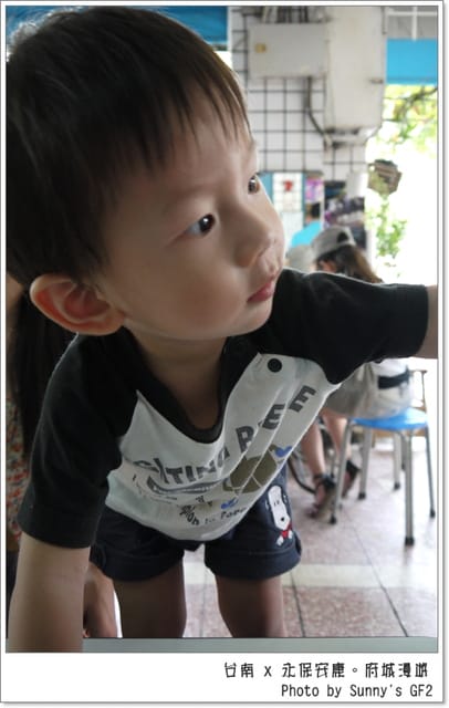 ▌台南一日遊．府城永保安康幸福漫遊+保哥黑輪 ▌