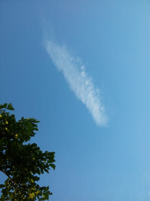 ▌101 ♥ 4月 生活札記．生活中的小確幸 ▌