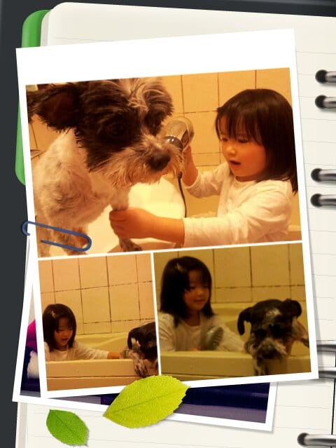 ▌101 ♥ 4月 生活札記．生活中的小確幸 ▌