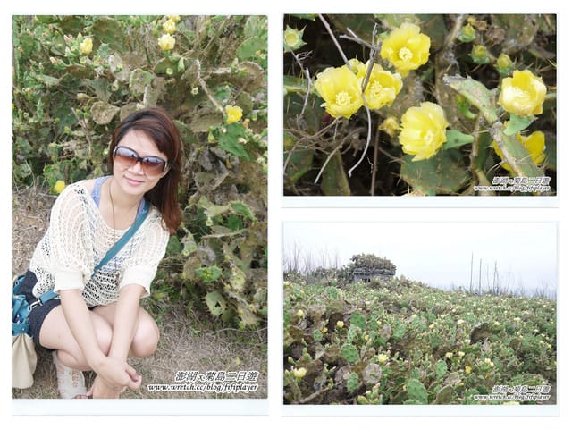 ▌澎湖二日遊‧Day1．戀戀菊島之暈船好難受 ▌