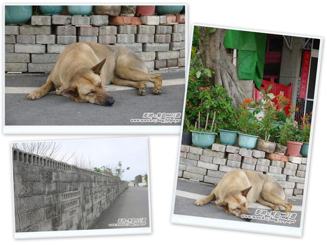 ▌澎湖二日遊‧Day2．戀戀菊島之…馬公市區好好玩 ▌