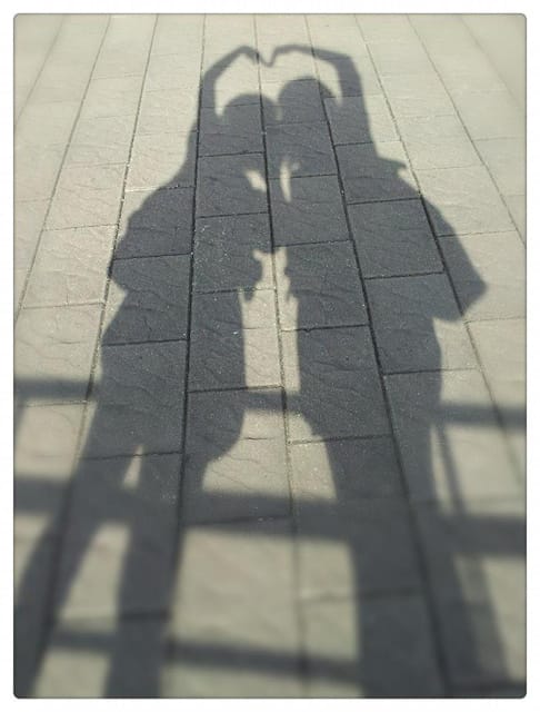 ▌ 晴の私房筆記．回程．藤井樹 ▌