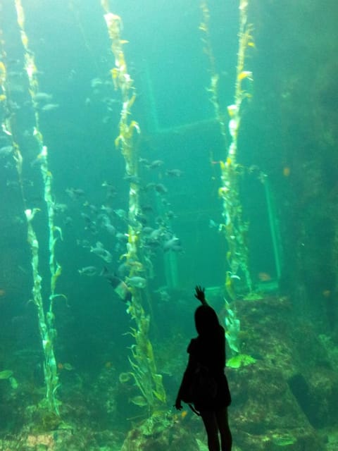 ▌ 晴の私房筆記．回程．藤井樹 ▌