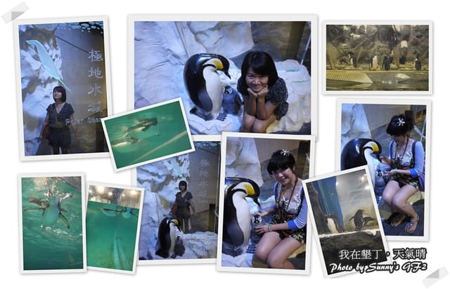 ▌墾丁兩天一夜自由行．Day1 一整個是海生館寫真 ▌