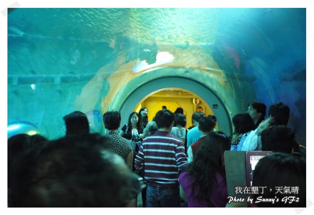 ▌墾丁兩天一夜自由行．Day1 一整個是海生館寫真 ▌