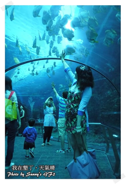 ▌墾丁兩天一夜自由行．Day1 一整個是海生館寫真 ▌