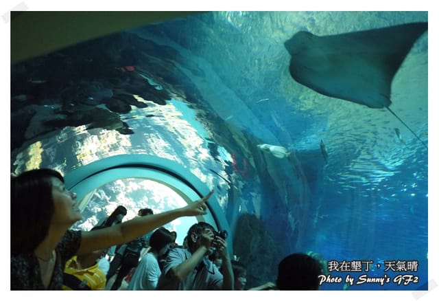 ▌墾丁兩天一夜自由行．Day1 一整個是海生館寫真 ▌
