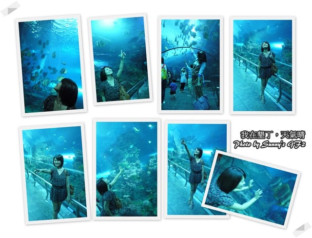 ▌墾丁兩天一夜自由行．Day1 一整個是海生館寫真 ▌