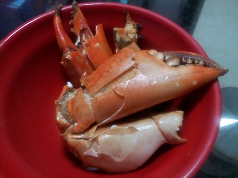 ▌101 ♥ 10月．跌落谷底…再見署光 ▌