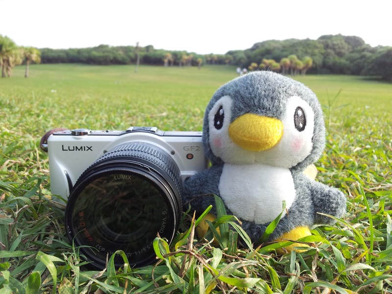 ▌101 ♥ 10月．跌落谷底…再見署光 ▌