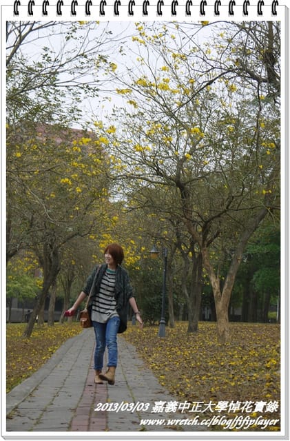 ▌嘉義．賞花不成學黛玉葬花 / 同場加映．旺萊山鳳梨酥 ▌