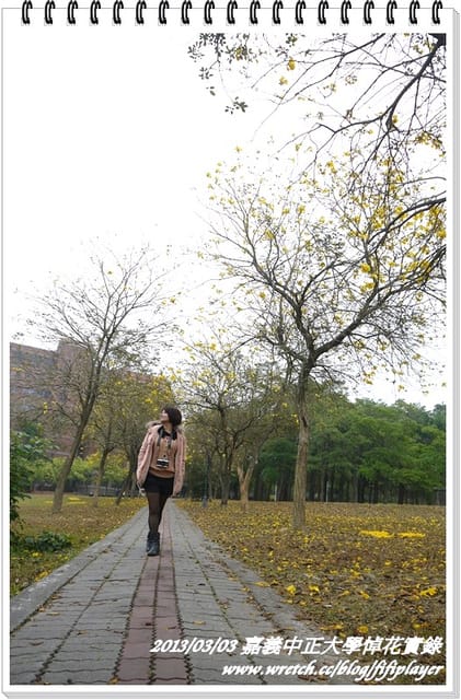 ▌嘉義．賞花不成學黛玉葬花 / 同場加映．旺萊山鳳梨酥 ▌