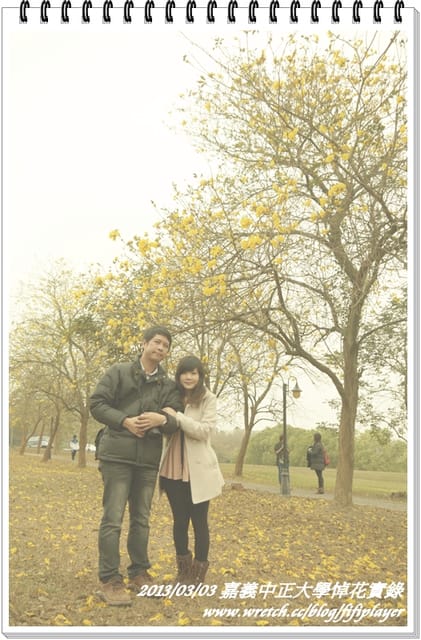 ▌嘉義．賞花不成學黛玉葬花 / 同場加映．旺萊山鳳梨酥 ▌