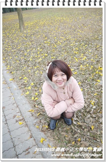 ▌嘉義．賞花不成學黛玉葬花 / 同場加映．旺萊山鳳梨酥 ▌