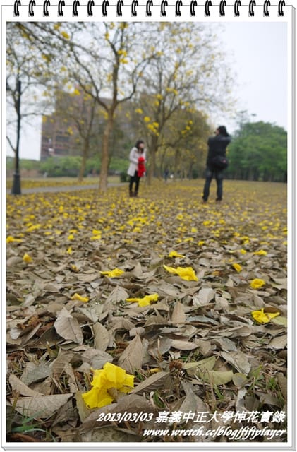 ▌嘉義．賞花不成學黛玉葬花 / 同場加映．旺萊山鳳梨酥 ▌