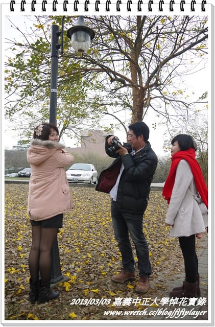 ▌嘉義．賞花不成學黛玉葬花 / 同場加映．旺萊山鳳梨酥 ▌