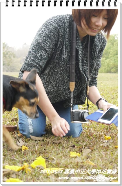 ▌嘉義．賞花不成學黛玉葬花 / 同場加映．旺萊山鳳梨酥 ▌