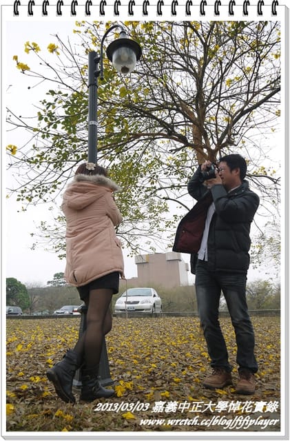 ▌嘉義．賞花不成學黛玉葬花 / 同場加映．旺萊山鳳梨酥 ▌