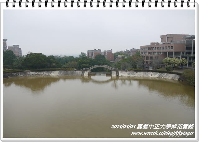 ▌嘉義．賞花不成學黛玉葬花 / 同場加映．旺萊山鳳梨酥 ▌