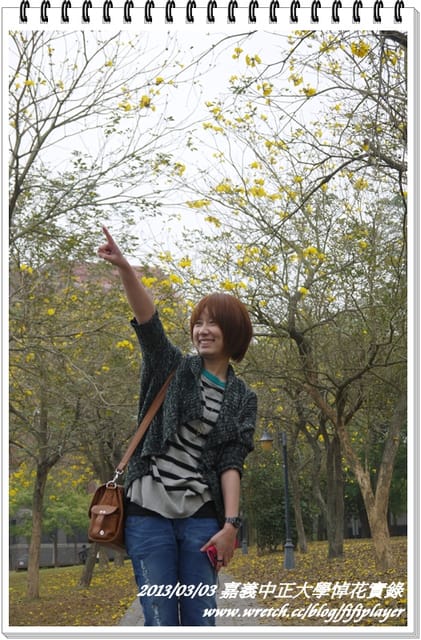 ▌嘉義．賞花不成學黛玉葬花 / 同場加映．旺萊山鳳梨酥 ▌