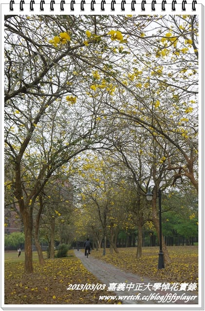 ▌嘉義．賞花不成學黛玉葬花 / 同場加映．旺萊山鳳梨酥 ▌