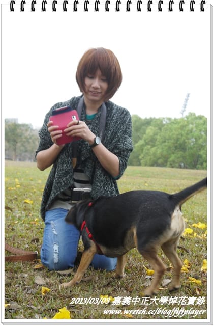 ▌嘉義．賞花不成學黛玉葬花 / 同場加映．旺萊山鳳梨酥 ▌