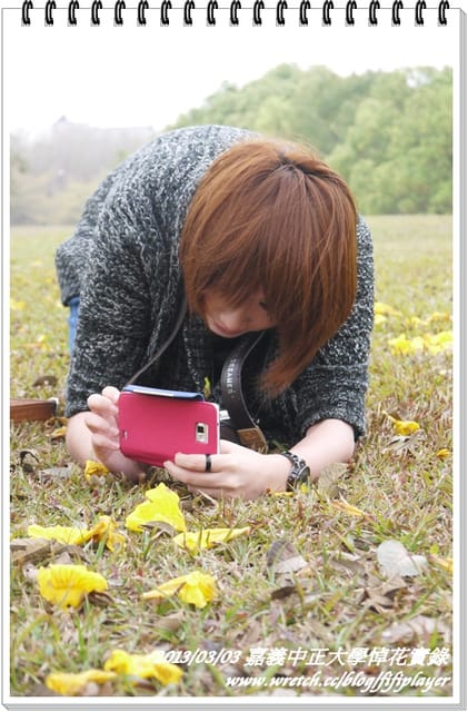 ▌嘉義．賞花不成學黛玉葬花 / 同場加映．旺萊山鳳梨酥 ▌