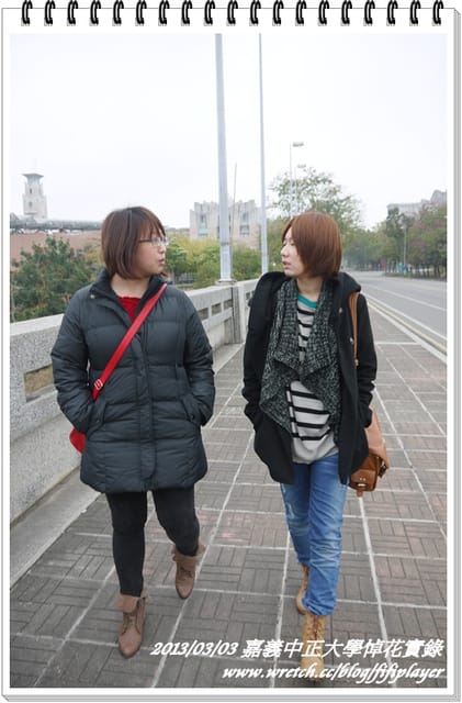 ▌嘉義．賞花不成學黛玉葬花 / 同場加映．旺萊山鳳梨酥 ▌