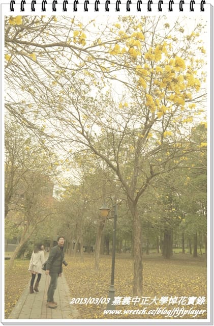 ▌嘉義．賞花不成學黛玉葬花 / 同場加映．旺萊山鳳梨酥 ▌