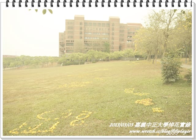 ▌嘉義．賞花不成學黛玉葬花 / 同場加映．旺萊山鳳梨酥 ▌