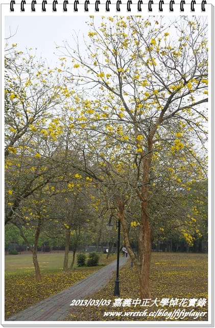 ▌嘉義．賞花不成學黛玉葬花 / 同場加映．旺萊山鳳梨酥 ▌