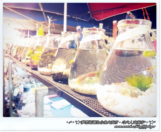 ▌迺夜市❤斗六．人文夜市．下集(鐵板另類刈包真的粉好吃) ▌