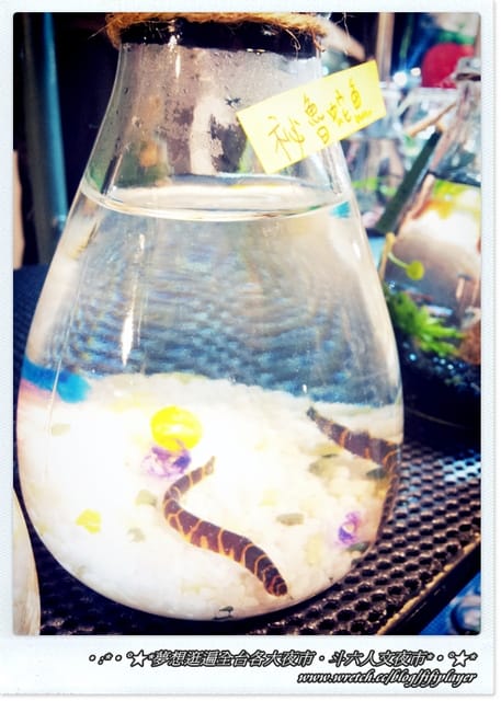 ▌迺夜市❤斗六．人文夜市．下集(鐵板另類刈包真的粉好吃) ▌